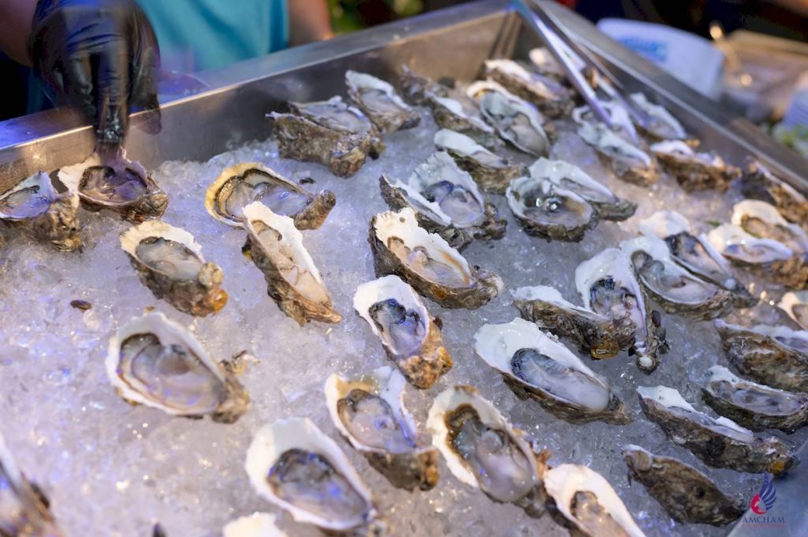 Oysters served at an AmCham Cambodia Meet and Mingle